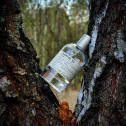 SANTAL 33 CON CAJA DE LUJO: El aroma que conquista sin hablar