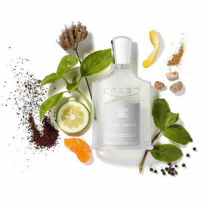 SILVER MOUNTAIN WALTER